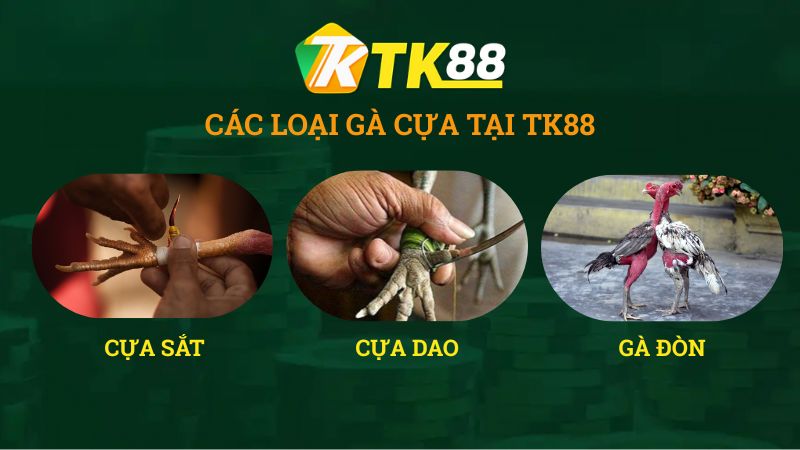 Các hình thức tại Đá Gà TK88