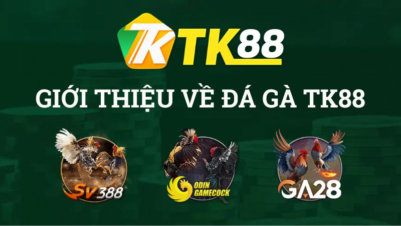 Tổng quan Đá Gà TK88 đẳng cấp #1 Việt Nam