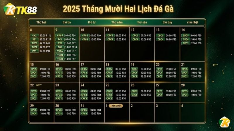 Lịch thi đấu đá gà trực tiếp hôm nay tại TK88