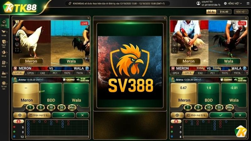 Sảnh đá gà SV388 tại nhà cái TK88 với giao diện trực quan