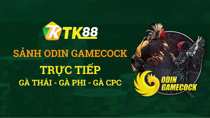 Sảnh Gà ODINGAMECOCK TK88