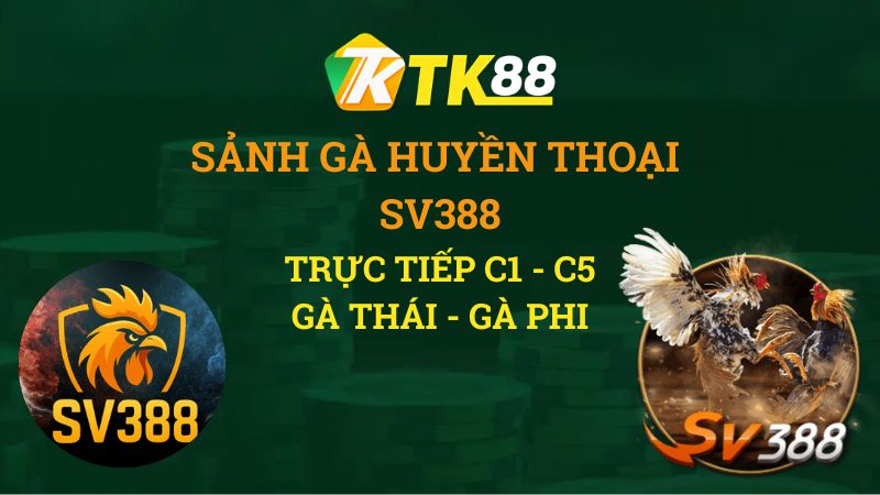 Sảnh Gà SV388 huyền thoại tại TK88