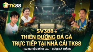 SV388 🎖️ Sảnh Đá Gà Trực Tiếp Đẳng Cấp Tại Nhà Cái TK88 [Link 2025]