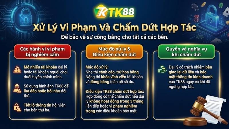 Xử lý vi phạm và chấm dứt hợp tác
